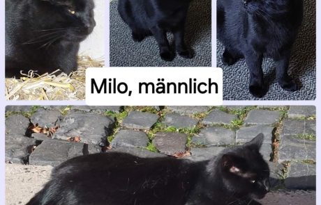 FB_IMG_1730804028460