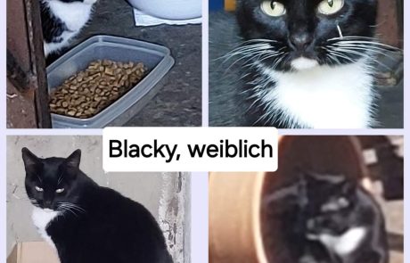 FB_IMG_1730804035853