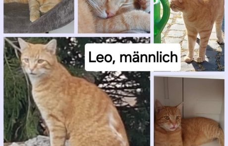 FB_IMG_1730804048622-1