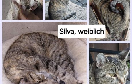 FB_IMG_1730804058818