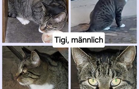 FB_IMG_1730804067930