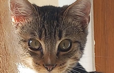 FB_IMG_1736942256561