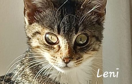 FB_IMG_1736942260625