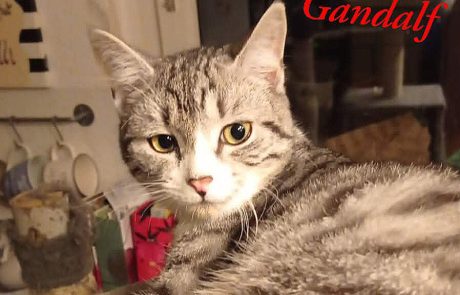 FB_IMG_1749570405547