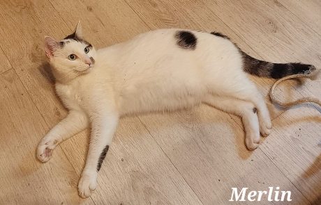 FB_IMG_1749570424338