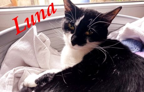 FB_IMG_1749570440750