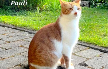 FB_IMG_1749572315528