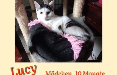 InCollage_20240704_135014541-scaled