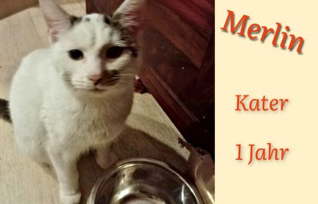 InCollage_20240704_140603668-scaled