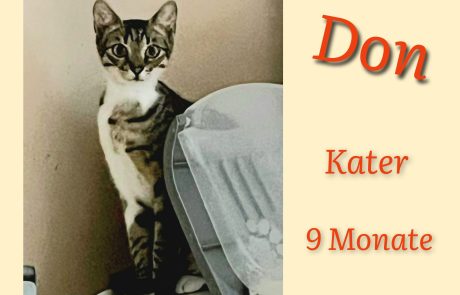 InCollage_20240704_183223627-scaled