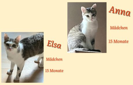 InCollage_20240709_165503988-scaled