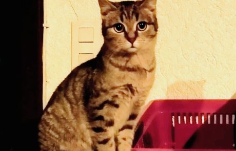 Lumii_20250319_181419902